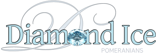 Diamond Ice Pomeranians logo